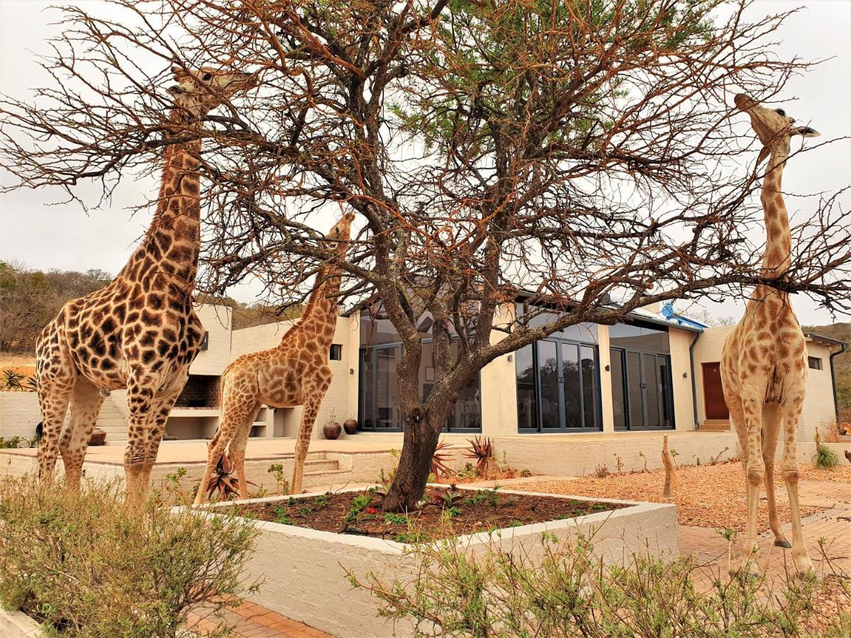 Graceland Eco Retreat 马格巴斯科鲁夫 外观 照片
