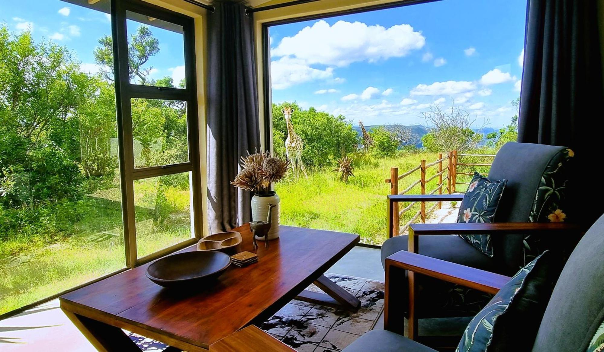 Graceland Eco Retreat 马格巴斯科鲁夫 外观 照片